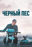 Чёрный пёс (2024)
